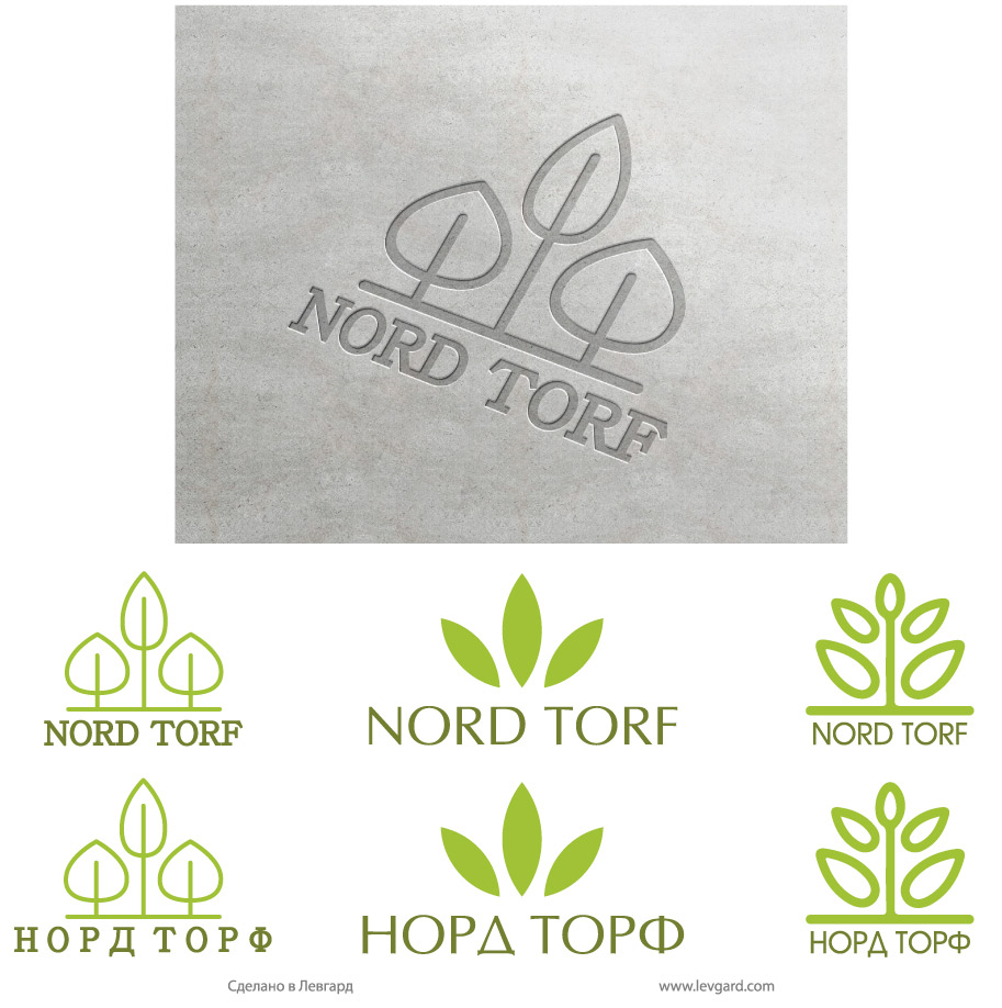 Разработка логотипа компании «Nord Torf» 